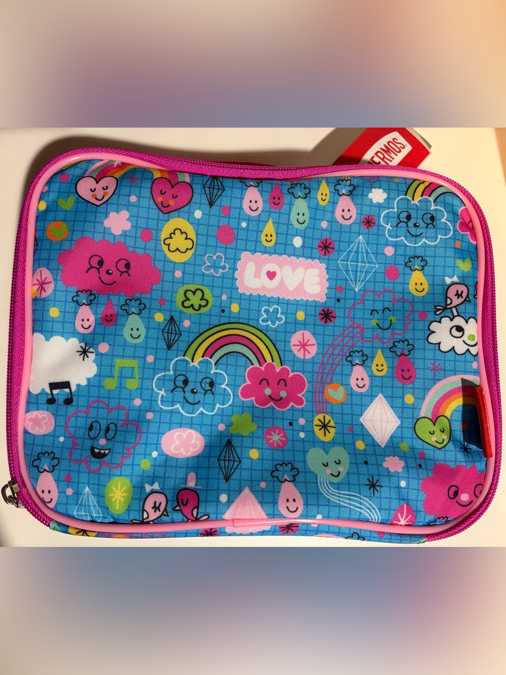 Thermos rainbow lunch box